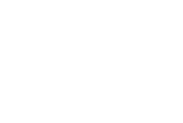 Zenith Pay